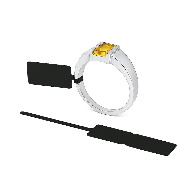 etiquettes standard noire brillante bijoux bijouterie  boucle lanière