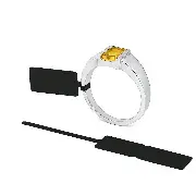 etiquettes standard noire brillante bijoux bijouterie  boucle lanière