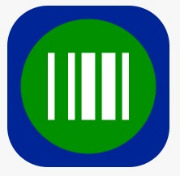 Interface Datalogic Visual Formatter