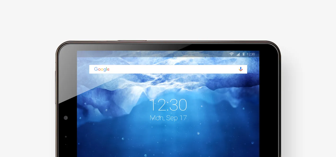 Tablette professionnelle Bluebird RT080 sous Android