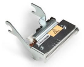 HONEYWELL - 710-228S-001 - Tête d'impression, 8 points/mm (203 dpi)