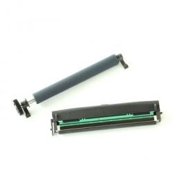 ZEBRA - P1080383-035 - Tête d'impression Zd420 pour convertir 203 dpi en 300 dpi
