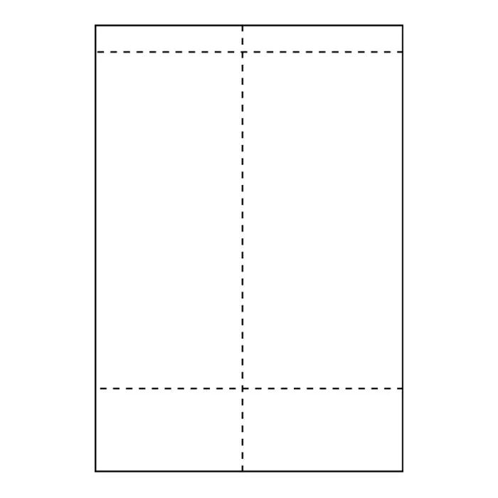 Capture - SHIPLABEL105X270-I2PR - Capture Ship-étiquette 105 x 270mm. For  laser/inkjet printers. With  receipt part. Two labels per sheet, 500 sheets per box