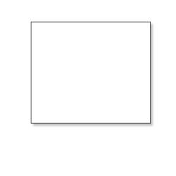 SEIKO INSTRUMENTS - W128785256 - Blanc