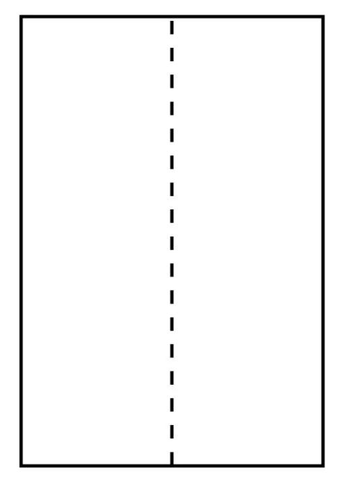 Capture - W128792547 - Étiquette d'expédition 105 x 297 mm. Pour