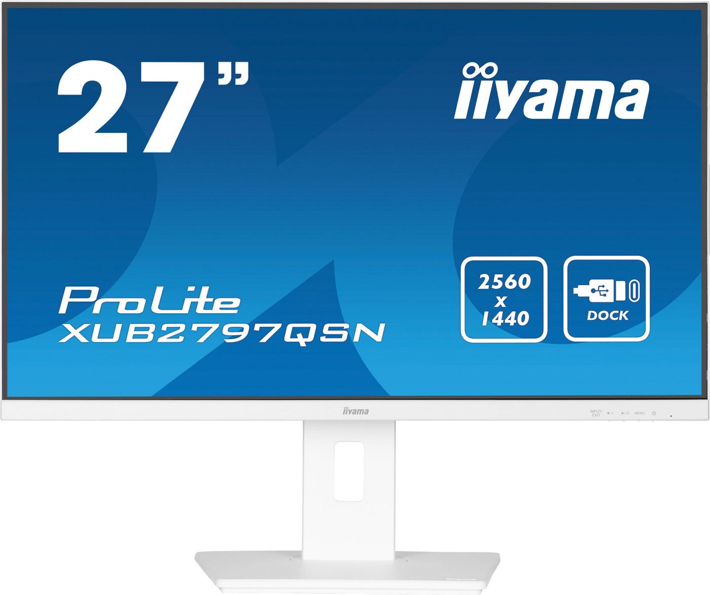 IIYAMA - W128982059 - 27" QHD Business IPS USB-C DOCK